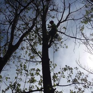 Meet your Posher, Brett